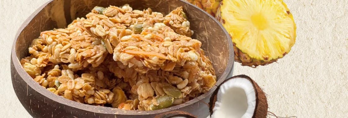 手作燕麥脆片實拍，椰子殼碗盛裝金黃燕麥堅果塊，搭配鳳梨與椰子